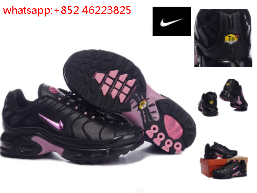 tn requin pas cher chine